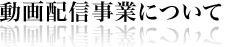 動画配信事業について
